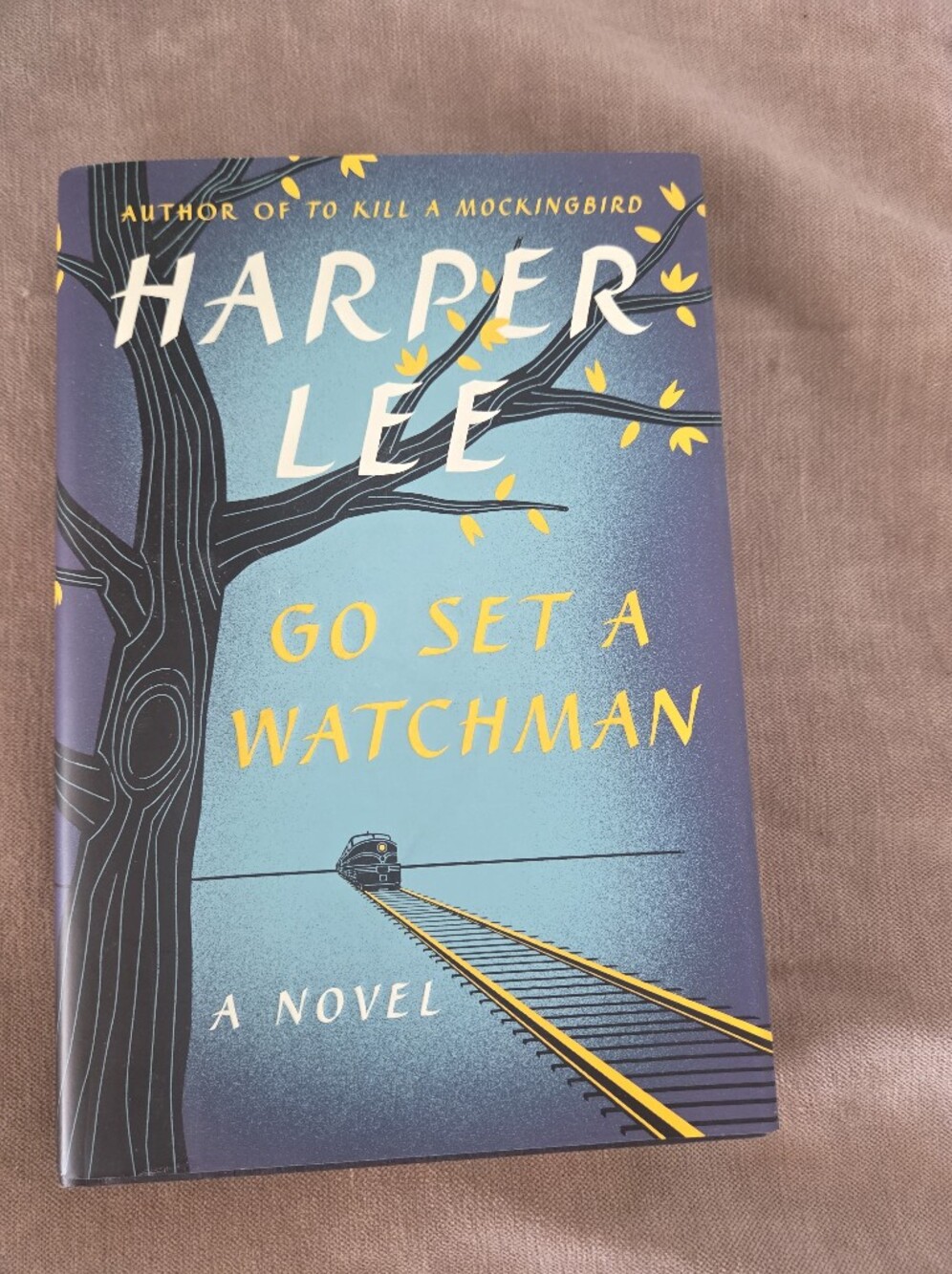 Go Set a Watchman by Harper Lee novel.. excellent read!!